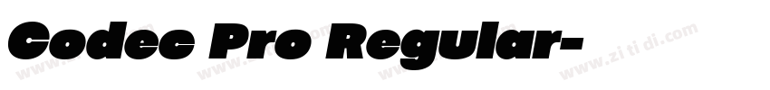 Codec Pro Regular字体转换